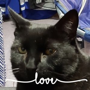 Meet your Posher, Lorraine